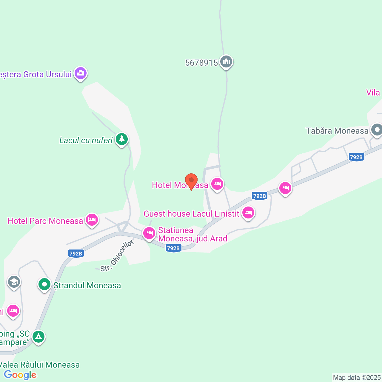 Poza harta streetview, zoom 16, adresa Moneasa Arad, , judetul