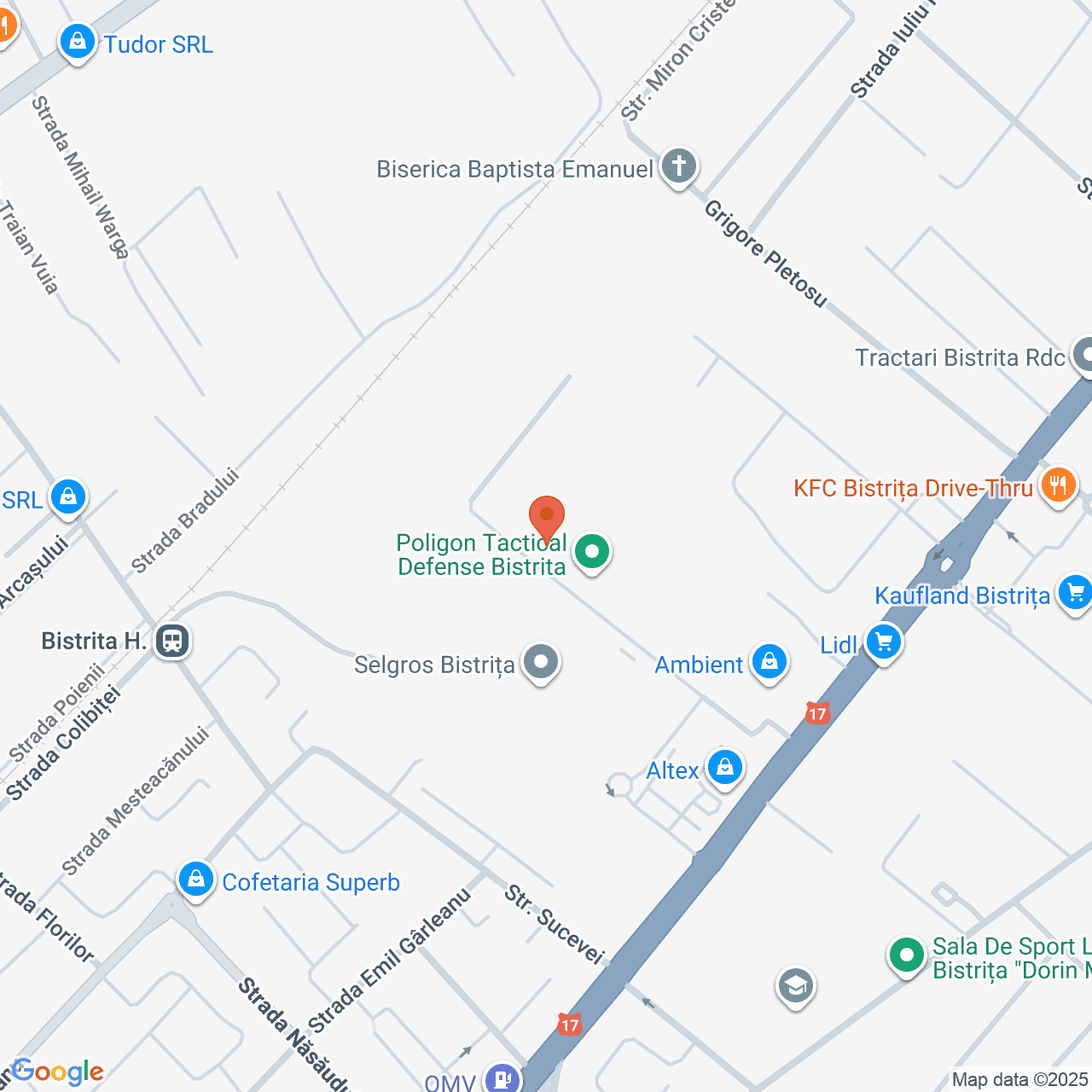 Poza harta streetview, zoom 16, adresa Bistrita, str.Calea Moldovei, nr.16A, , judetul