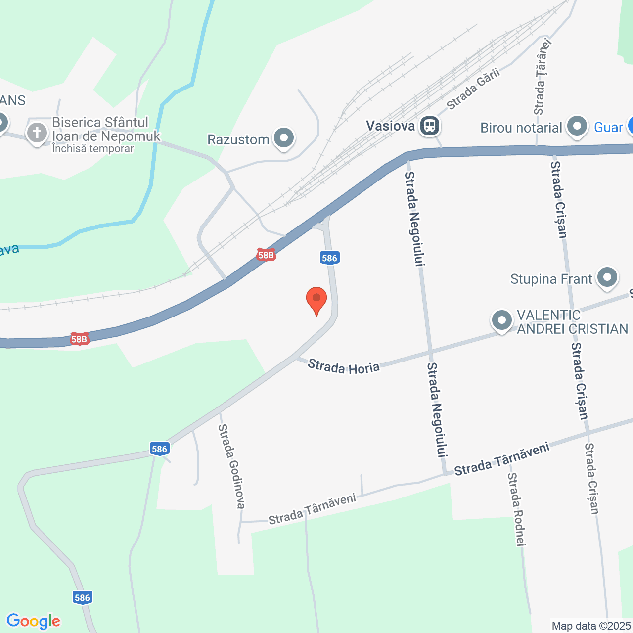 Poza harta streetview, zoom 16, adresa Bocșa, str. Dognecei nr.10, , judetul