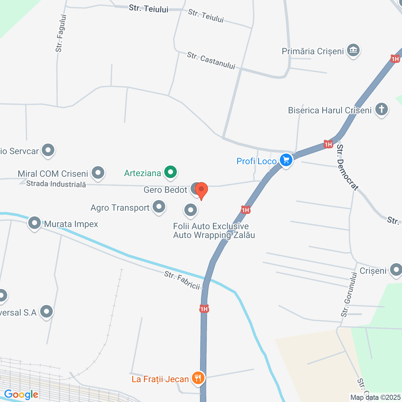 Poza harta streetview, zoom 16, adresa Strada Industriala Criseni, , judetul