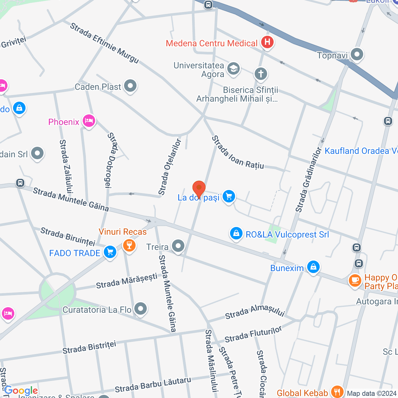 Poza harta streetview, zoom 16, adresa Oradea, str. Miron Pompiliu, Nr. 9, , judetul