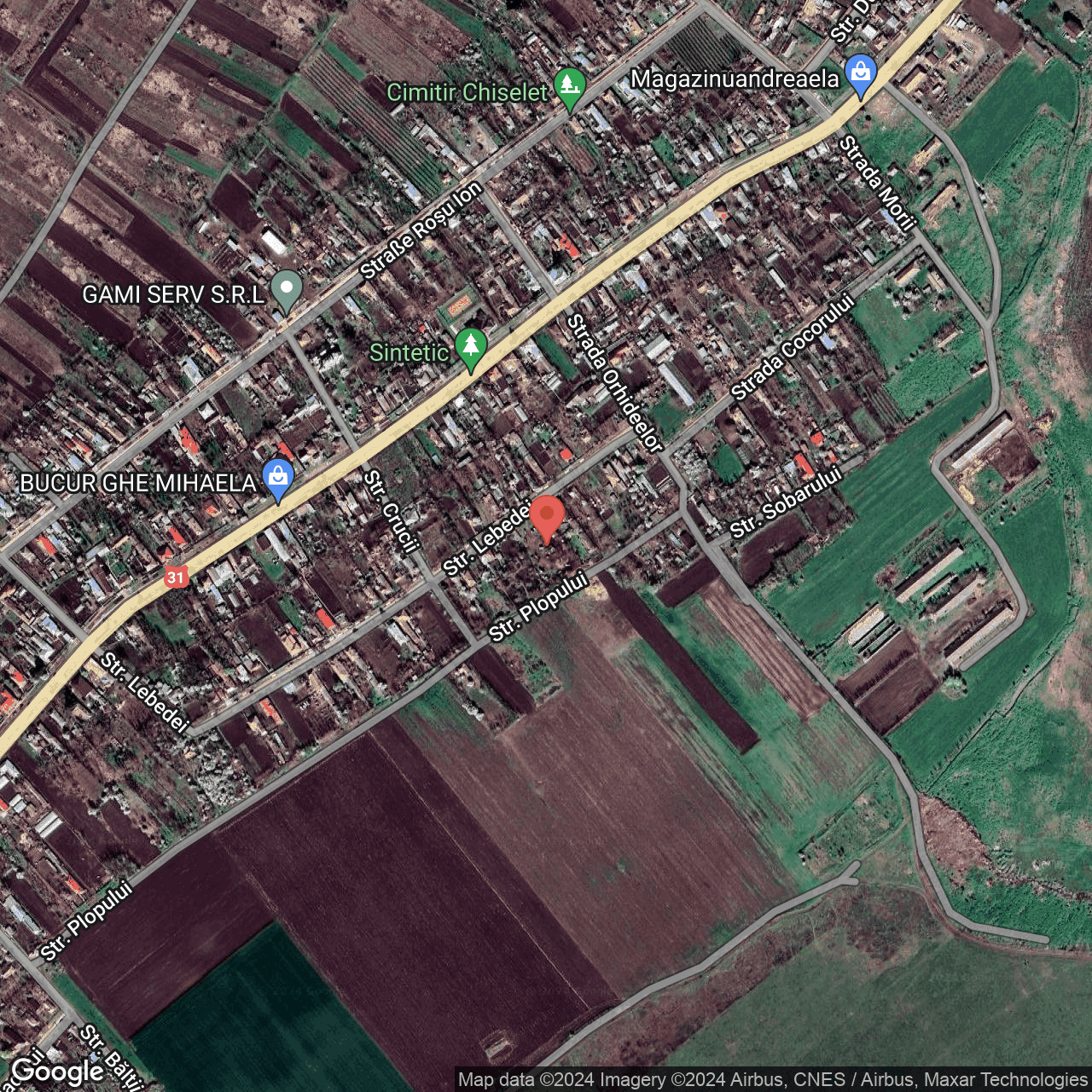 Poza harta hybrid, zoom 16, adresa Chiselet Calarasi, , judetul