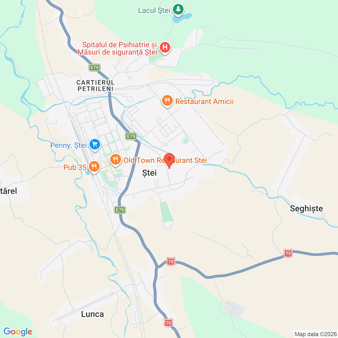 Poza harta streetview, zoom 14, adresa Stei judet Bihor, , judetul