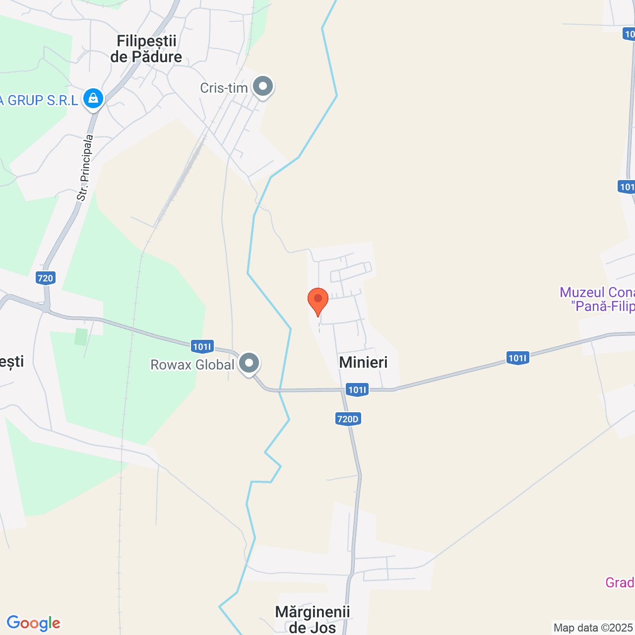 Poza harta streetview, zoom 14, adresa Minieri, Str. 1 Mai, Nr. 21 Filipestii de Padure, , judetul