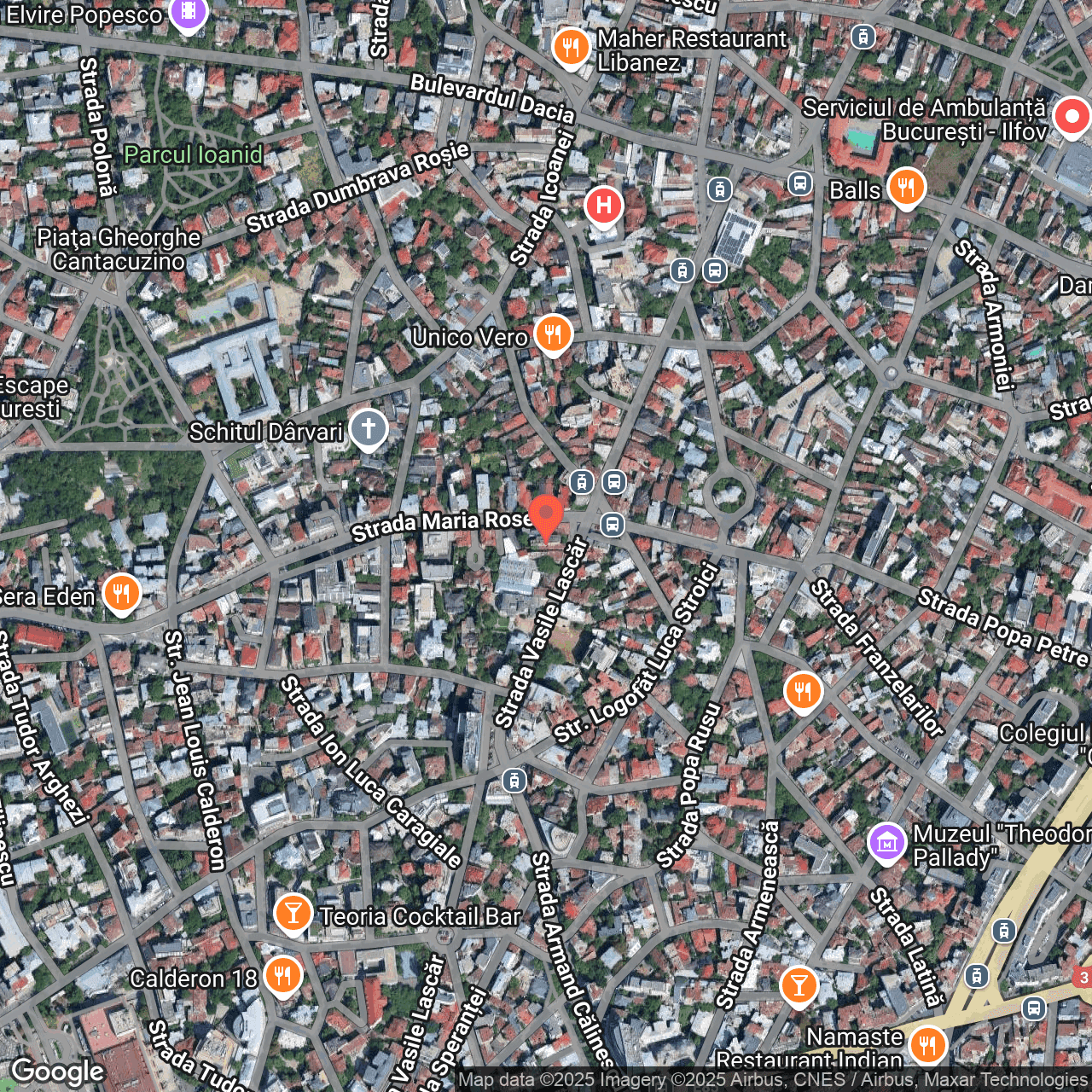 Poza harta hybrid, zoom 16, adresa București Str. Vasile Lascăr Nr. 55, , judetul