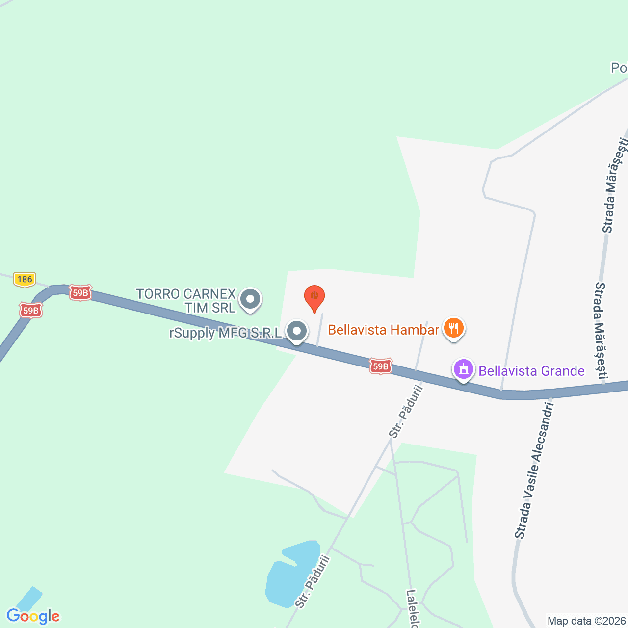 Poza harta streetview, zoom 16, adresa Deta, Calea Banlocului, nr. 56, jud. Timis, , judetul