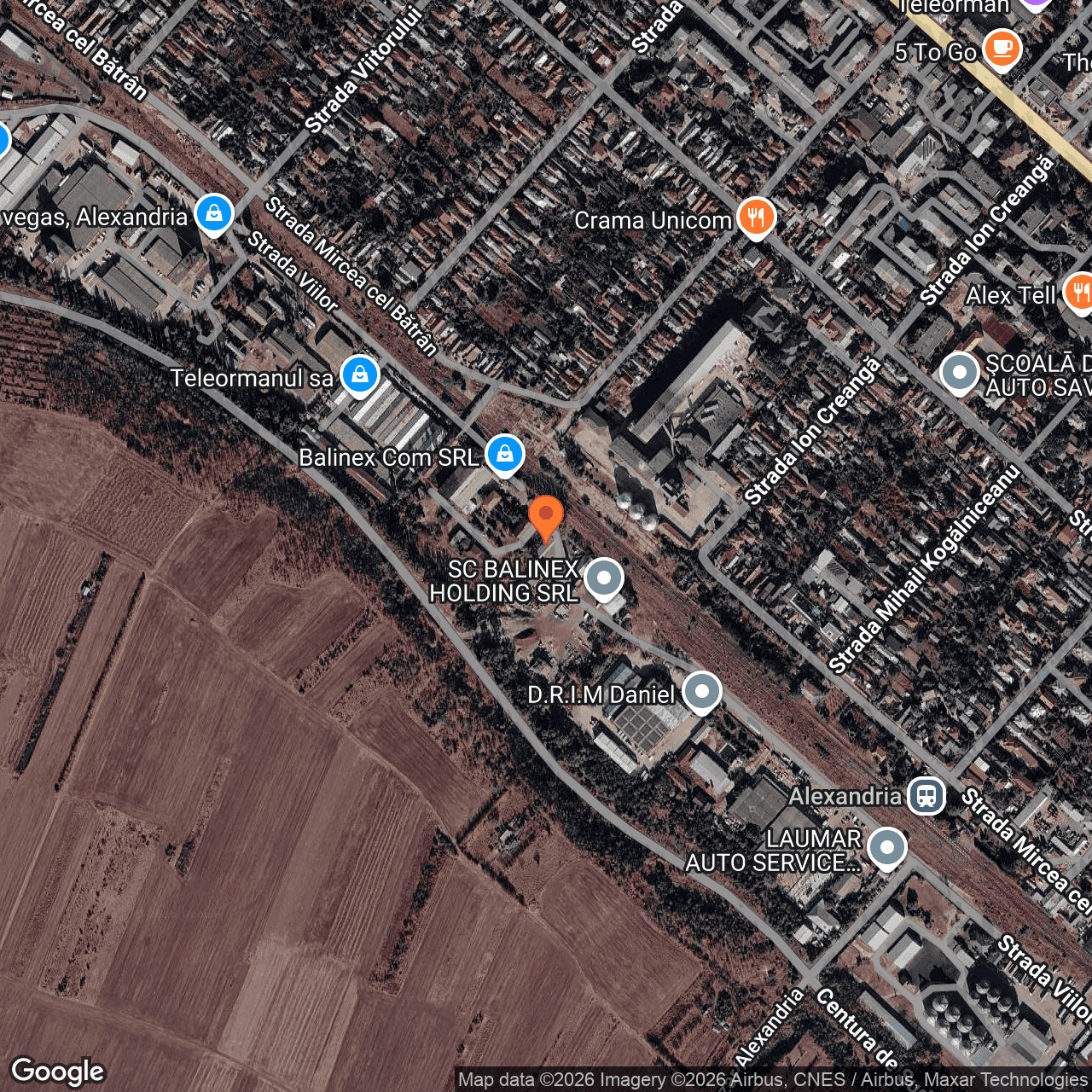 Poza harta hybrid, zoom 16, adresa Alexandria, strada Viilor, , judetul