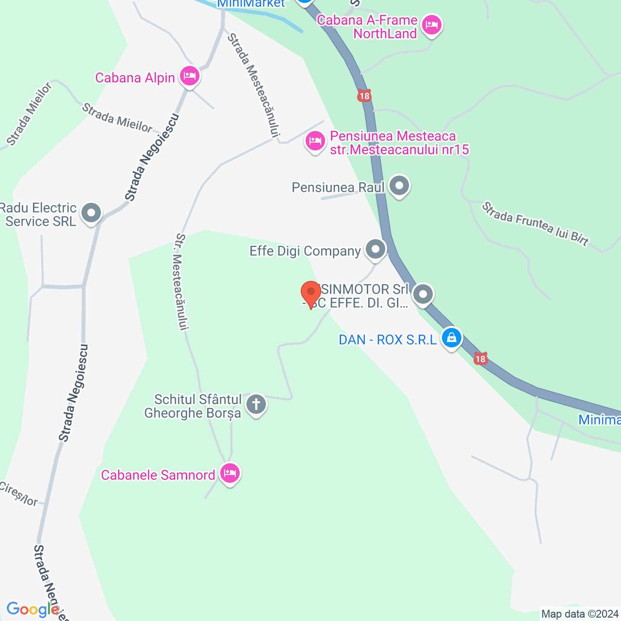 Poza harta streetview, zoom 16, adresa Borsa, str Moldovei, , judetul