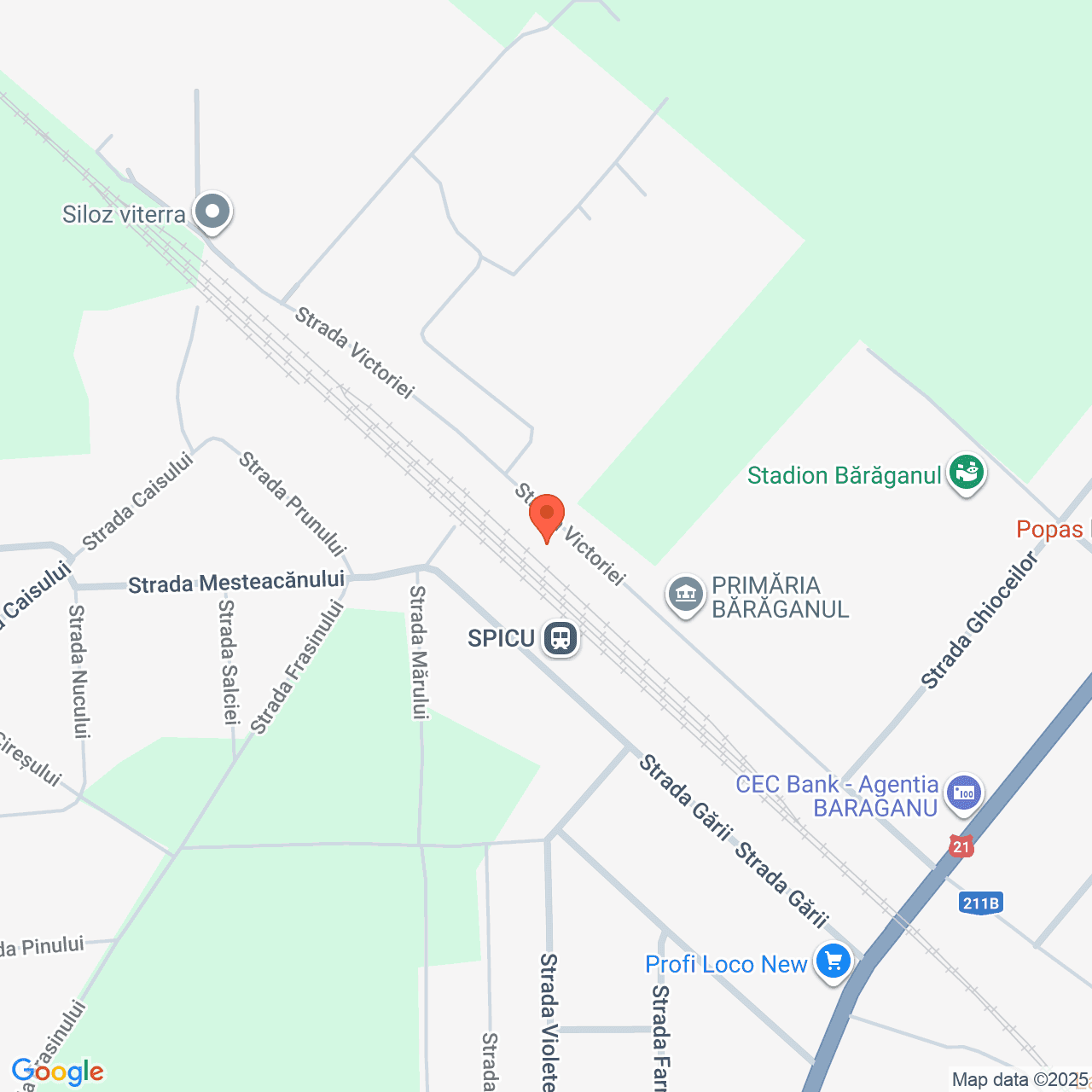 Poza harta streetview, zoom 16, adresa Baraganul Braila, , judetul