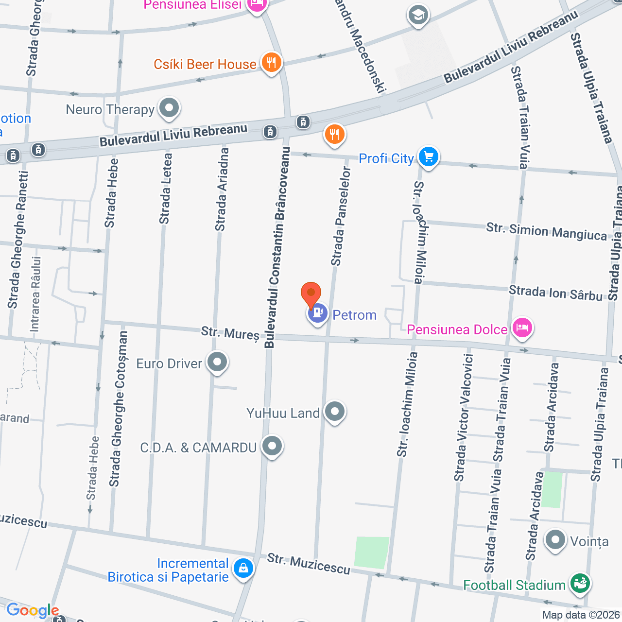 Poza harta streetview, zoom 16, adresa Timișoara, str. Mureș nr. 41, jud. Timis, , judetul