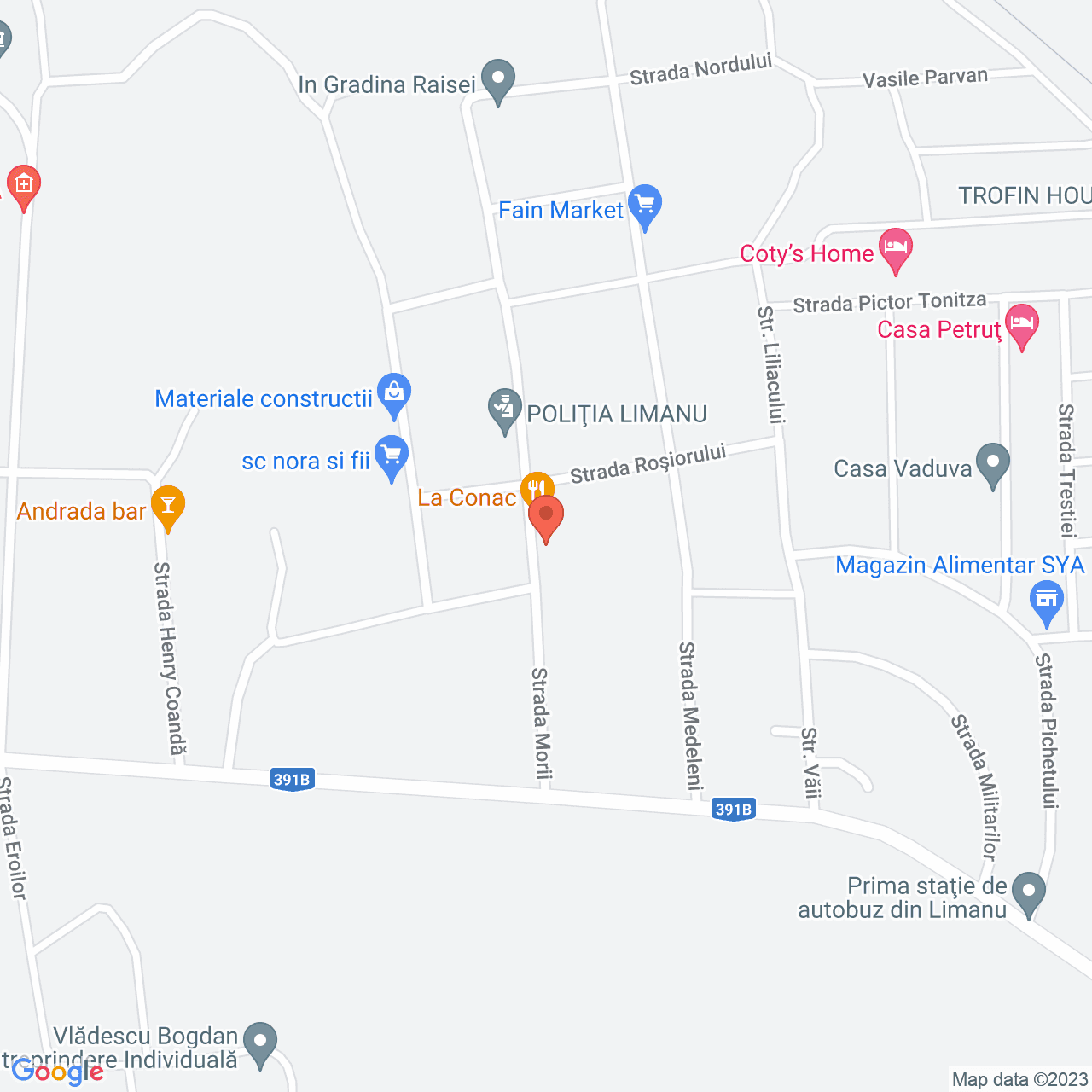 Poza harta streetview, zoom 16, adresa Limanu, str. Morii, nr. 10, , judetul