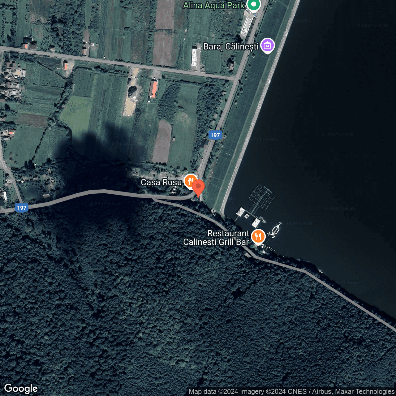 Poza harta hybrid, zoom 16, adresa Călinești, nr. 217F, jud. Satu Mare, , judetul