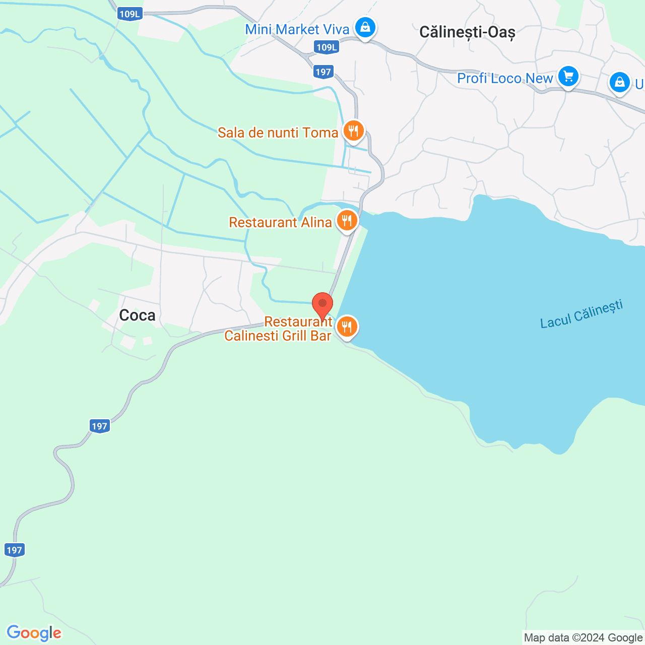 Poza harta streetview, zoom 14, adresa Călinești, nr. 217F, jud. Satu Mare, , judetul