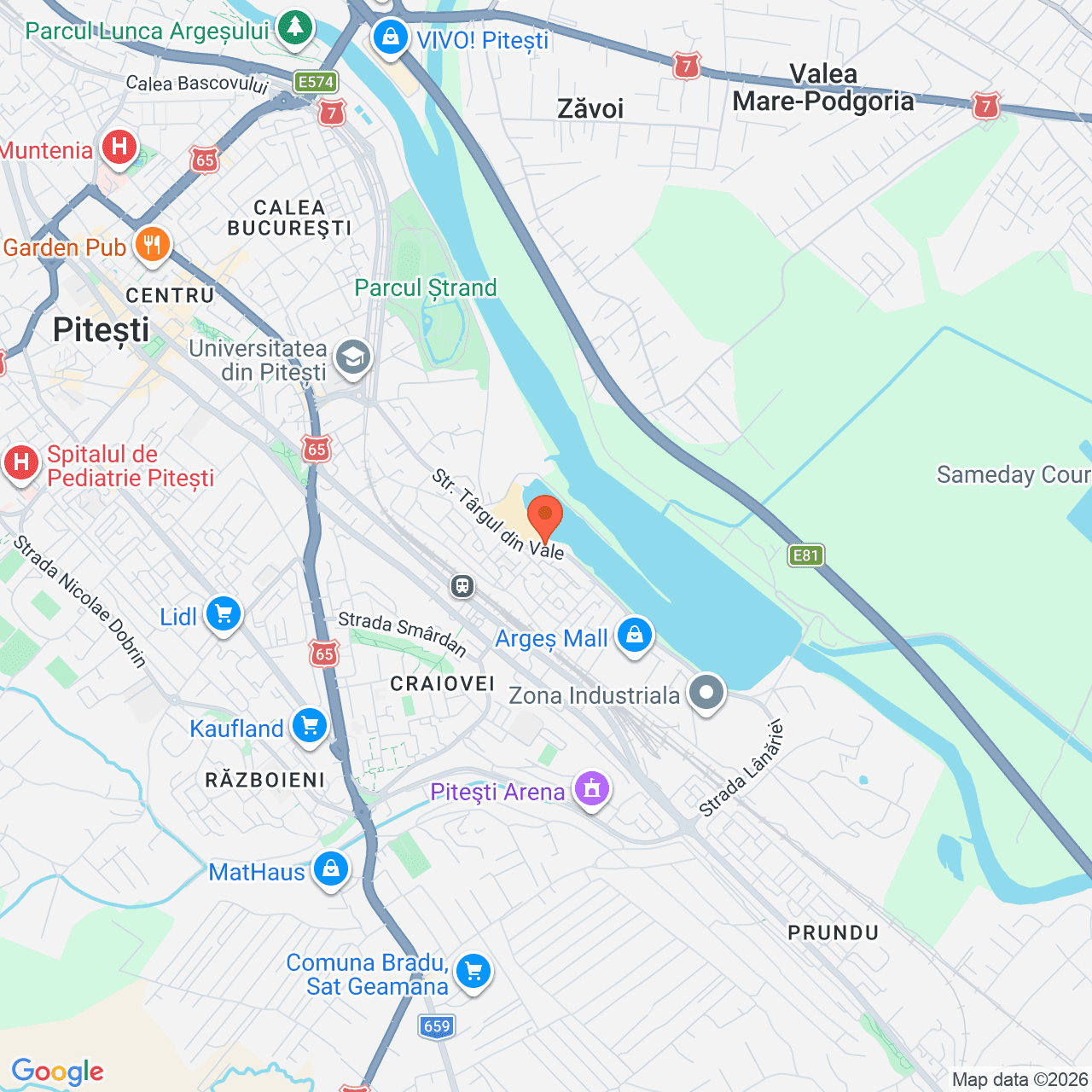 Poza harta streetview, zoom 14, adresa Pitesti, str.Targul din Vale nr.29, , judetul