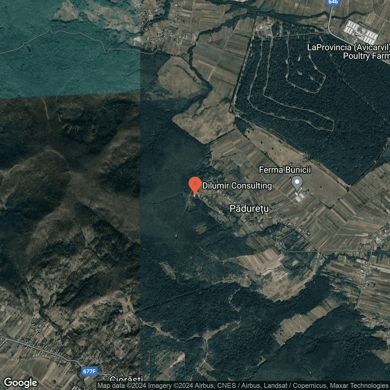 Poza harta hybrid, zoom 14, adresa Paduretu, Str Fagilor, Nr. 2 Valcea, , judetul