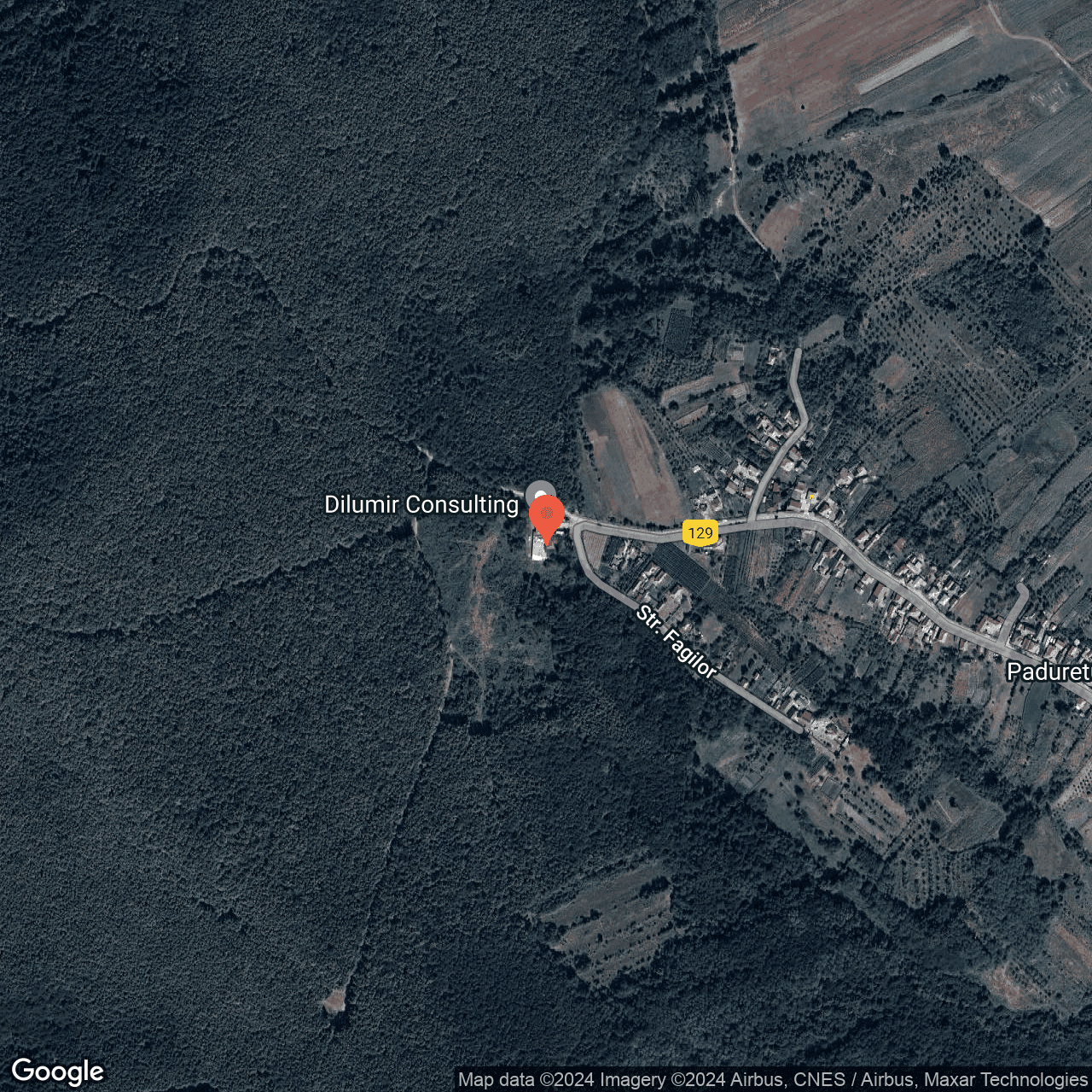 Poza harta hybrid, zoom 16, adresa Paduretu, Str Fagilor, Nr. 2 Valcea, , judetul