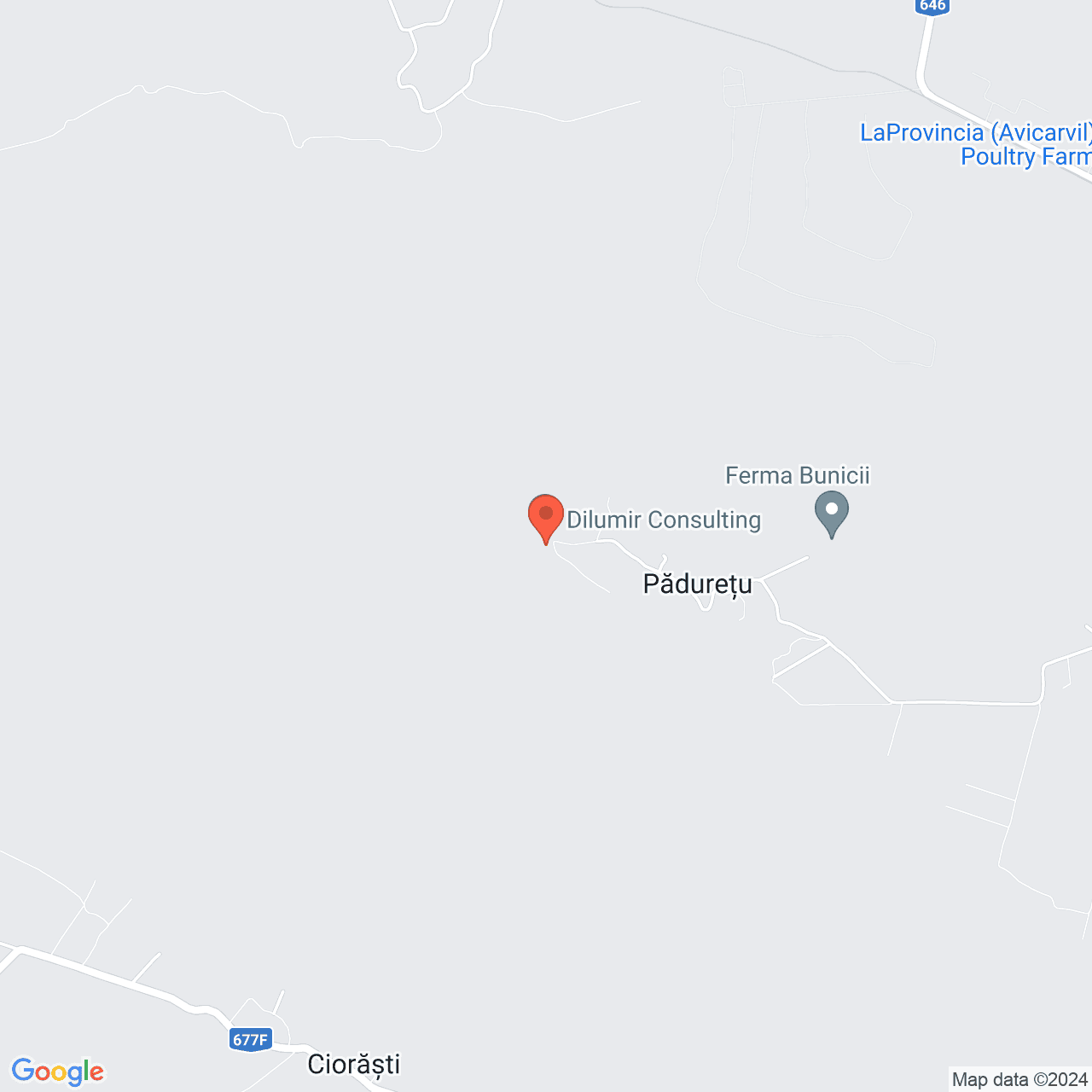 Poza harta streetview, zoom 14, adresa Paduretu, Str Fagilor, Nr. 2 Valcea, , judetul