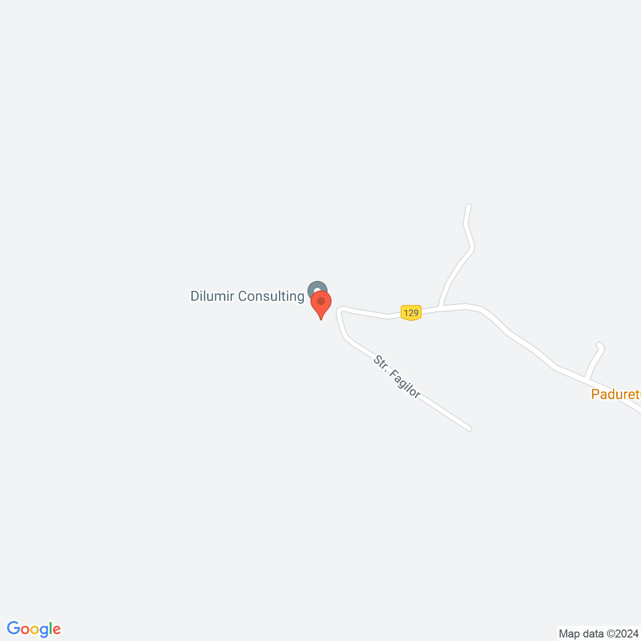 Poza harta streetview, zoom 16, adresa Paduretu, Str Fagilor, Nr. 2 Valcea, , judetul