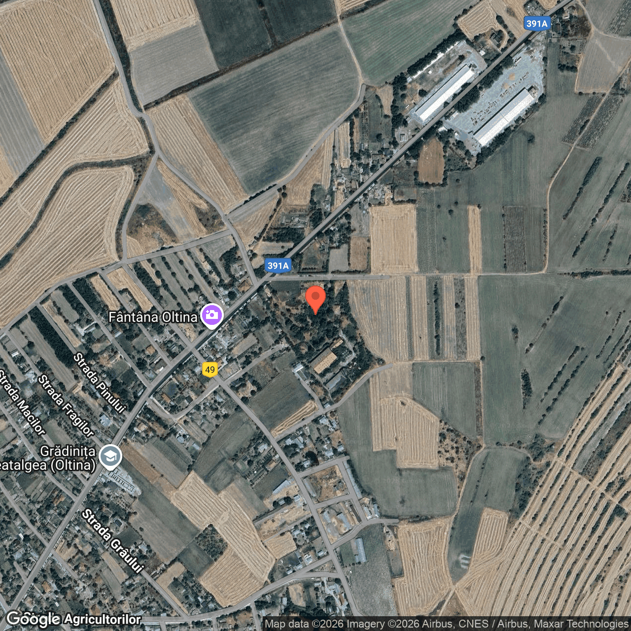 Poza harta hybrid, zoom 16, adresa Oltina Constanta, , judetul