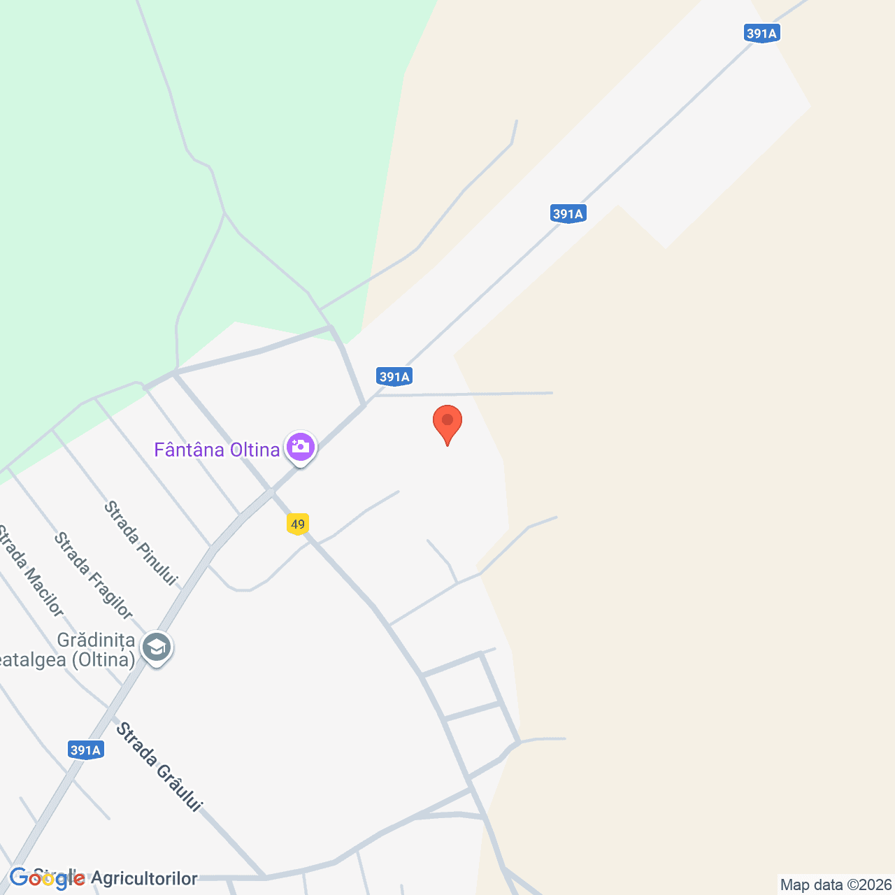 Poza harta streetview, zoom 16, adresa Oltina Constanta, , judetul