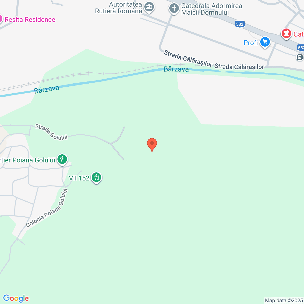 Poza harta streetview, zoom 16, adresa Resita, Caras Severin, , judetul