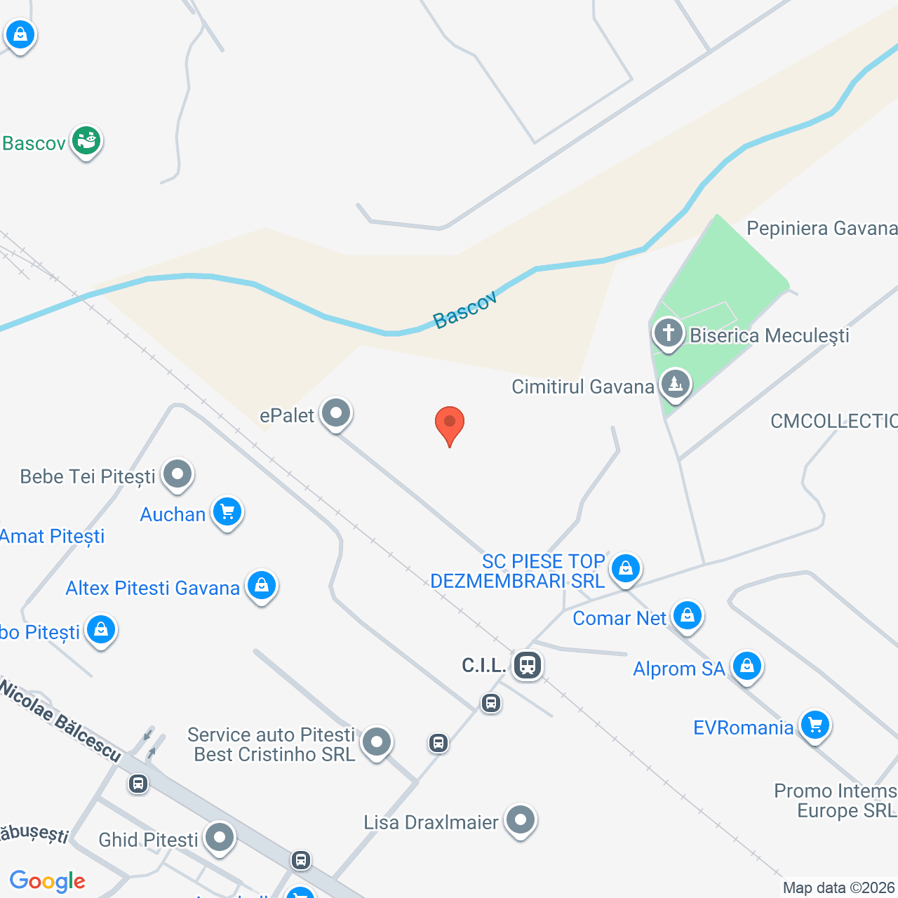 Poza harta streetview, zoom 16, adresa Strada Constantin Dobrogeanu Gherea, Pitesti, , judetul