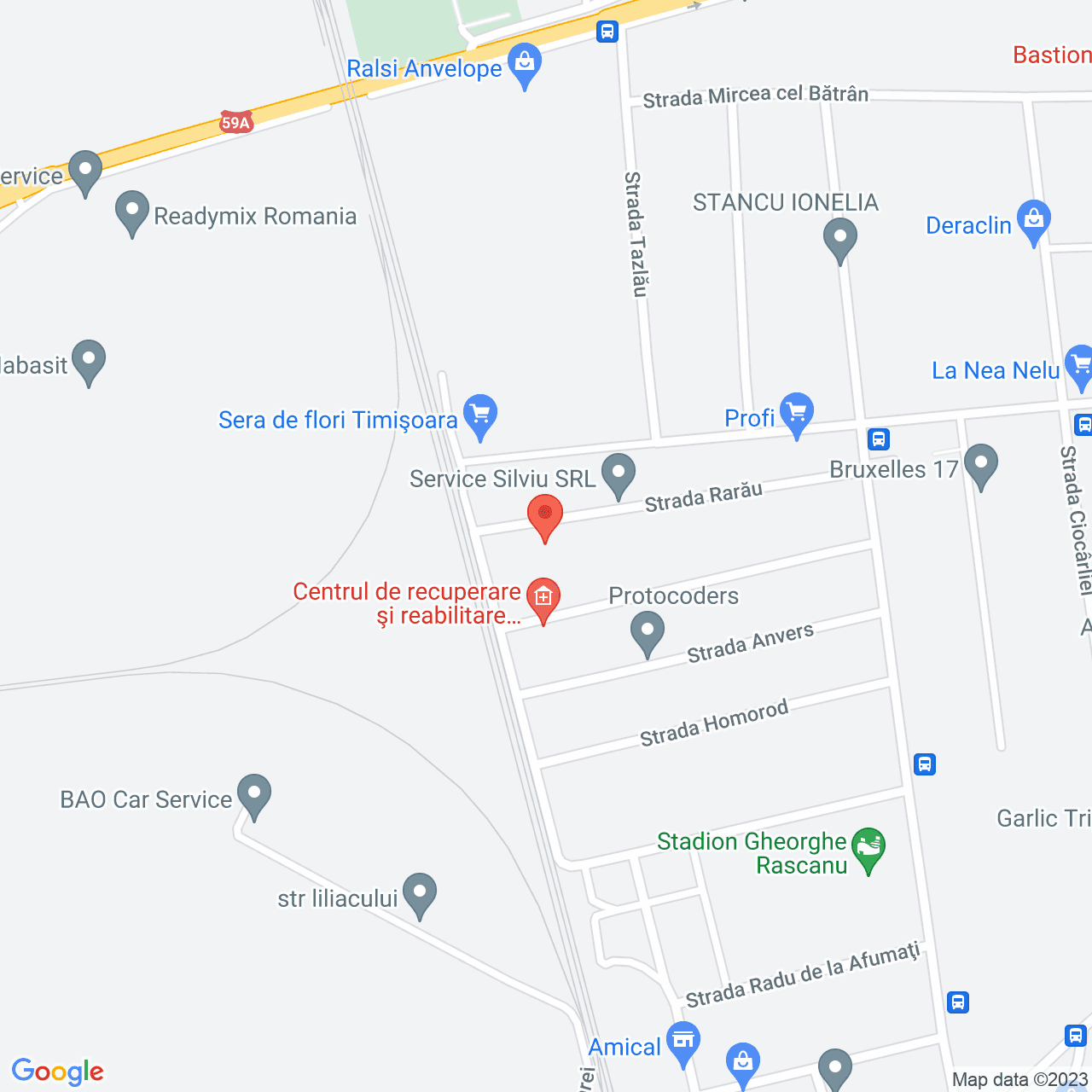 Poza harta streetview, zoom 16, adresa Rarau 13 Timisoara, , judetul