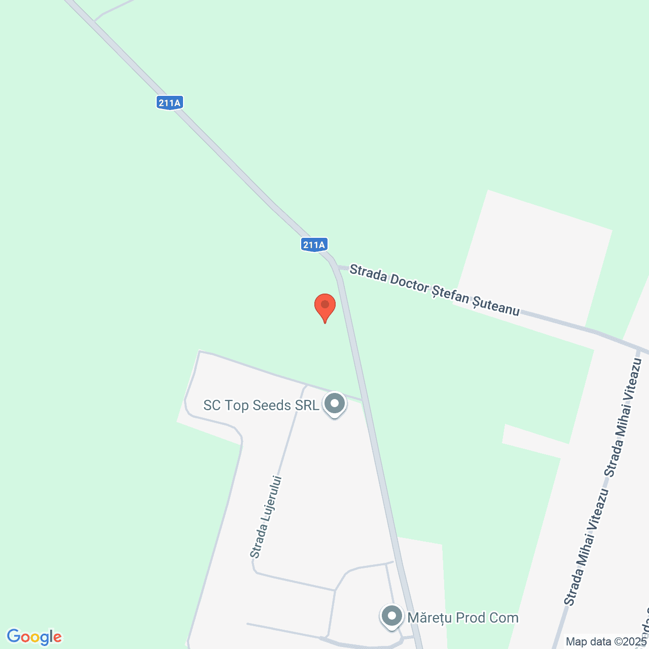 Poza harta streetview, zoom 16, adresa Viziru Braila, , judetul