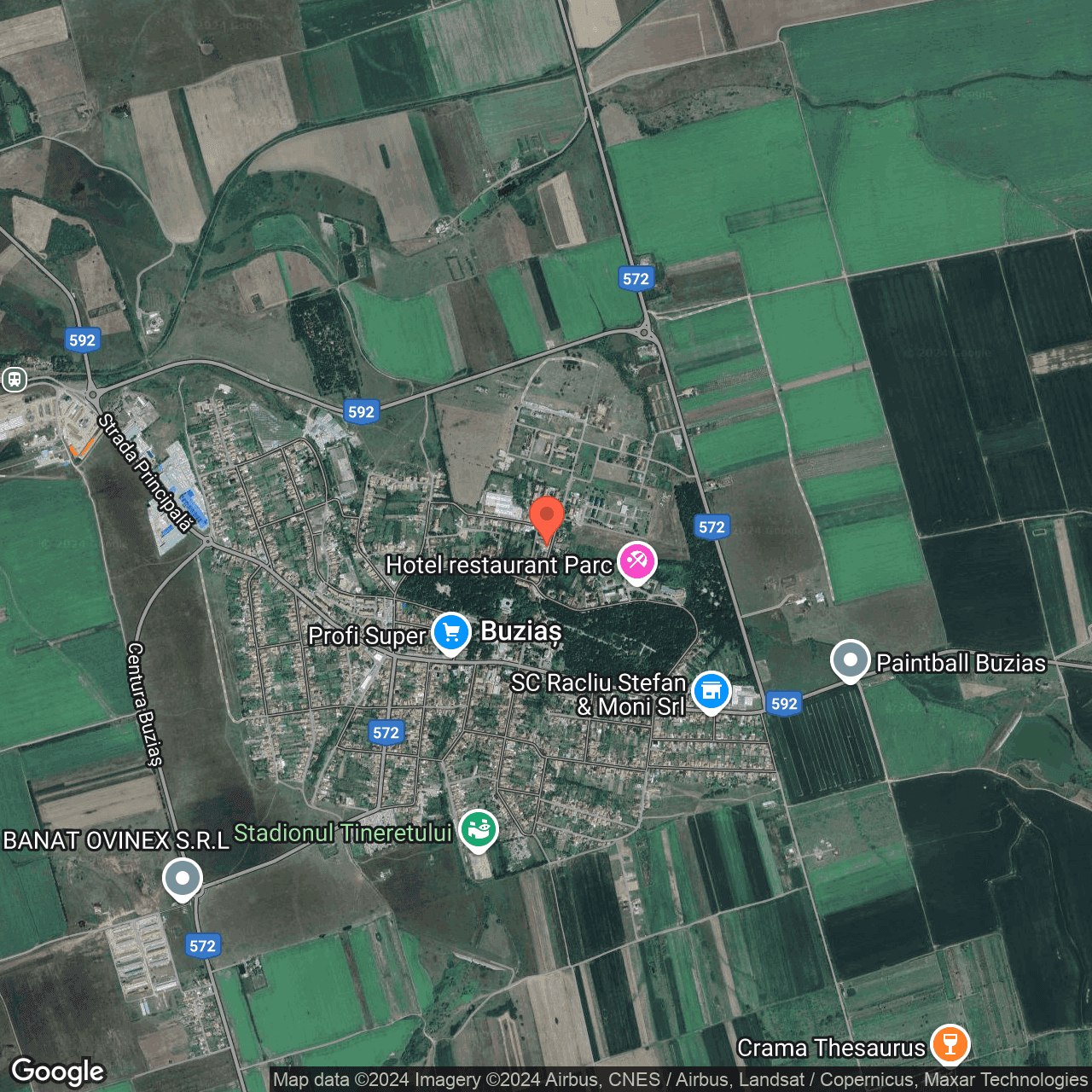 Poza harta hybrid, zoom 14, adresa Buzias, str. Florilor, nr. 8, , judetul