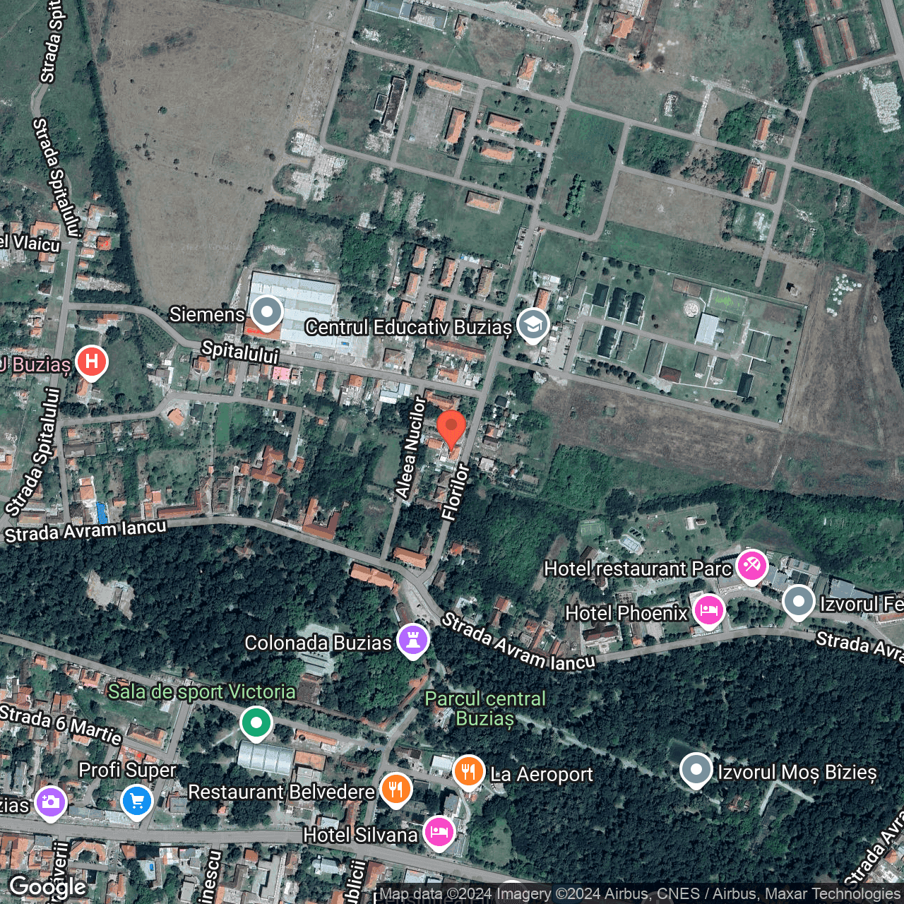 Poza harta hybrid, zoom 16, adresa Buzias, str. Florilor, nr. 8, , judetul