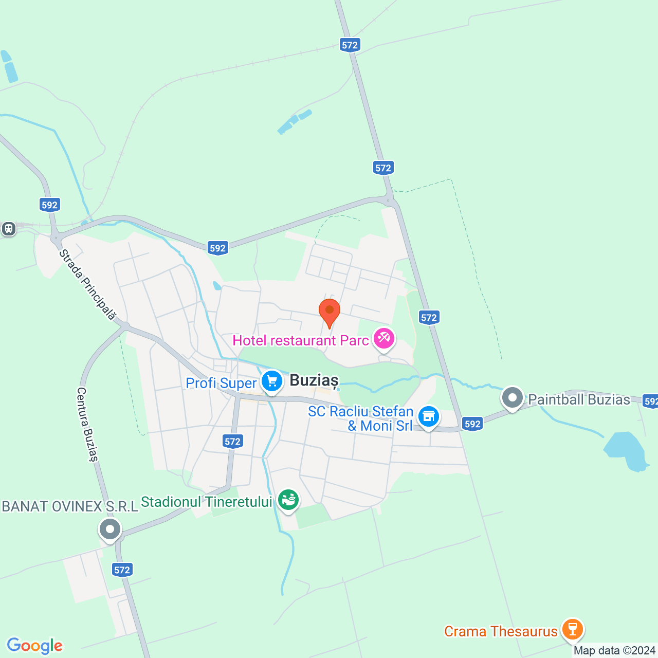 Poza harta streetview, zoom 14, adresa Buzias, str. Florilor, nr. 8, , judetul