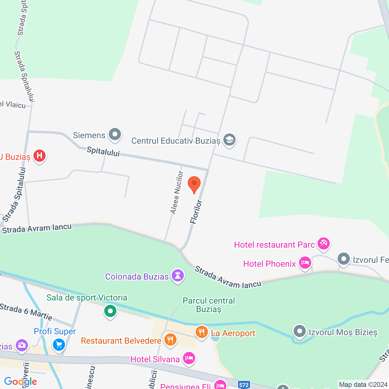 Poza harta streetview, zoom 16, adresa Buzias, str. Florilor, nr. 8, , judetul