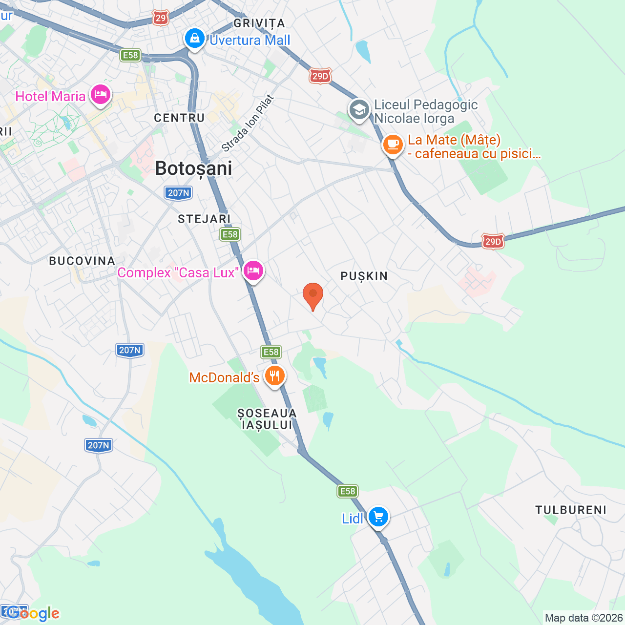 Poza harta streetview, zoom 14, adresa Botosani, str. Pod de Piatra, nr. 73, , judetul