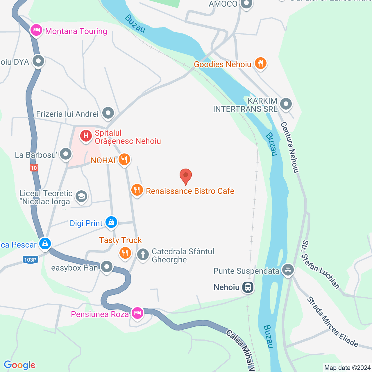Poza harta streetview, zoom 16, adresa Nehoiu, Str. 1 Decembrie 1918, nr. 8, , judetul