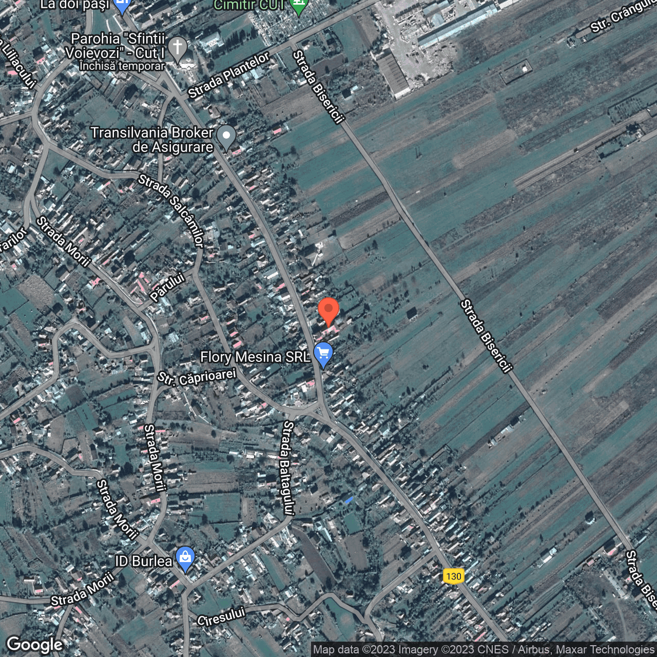 Poza harta hybrid, zoom 16, adresa Dumbrava Rosie, , judetul