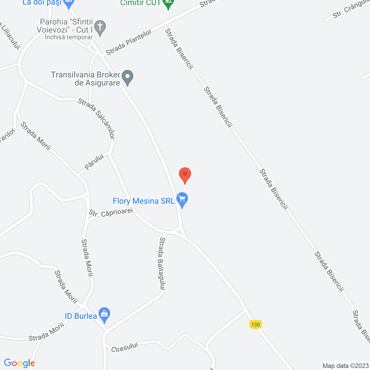 Poza harta streetview, zoom 16, adresa Dumbrava Rosie, , judetul