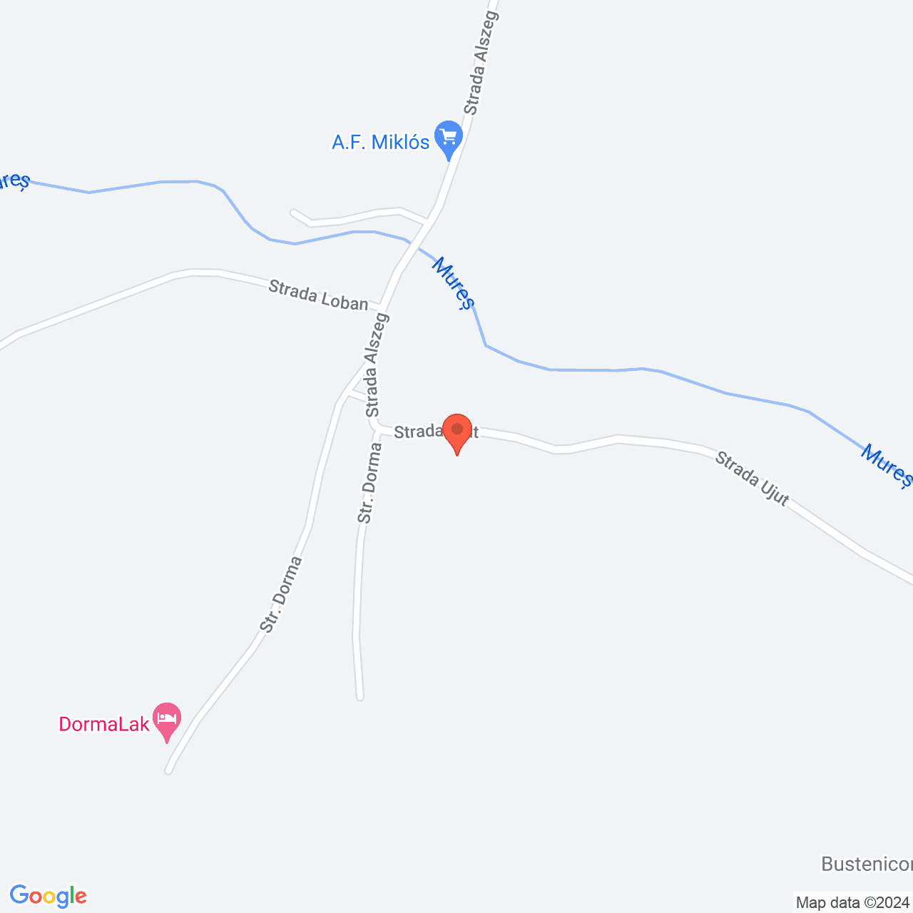 Poza harta streetview, zoom 16, adresa Suseni, jud. Harghita, , judetul