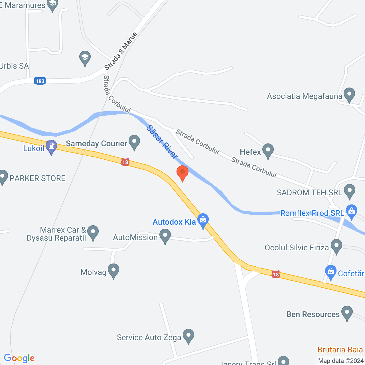 Poza harta streetview, zoom 16, adresa Baia Mare, str. Vasile Lucaciu, nr. 162, , judetul