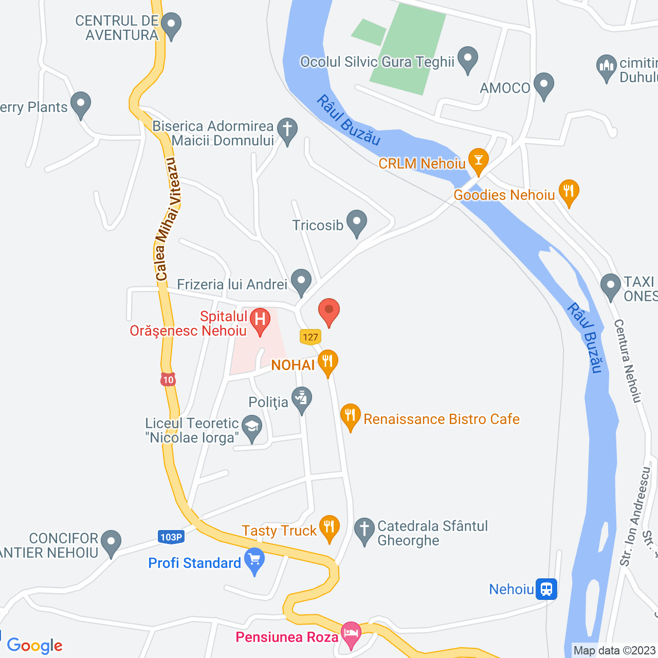 Poza harta streetview, zoom 16, adresa Nehoiu Buzau, , judetul