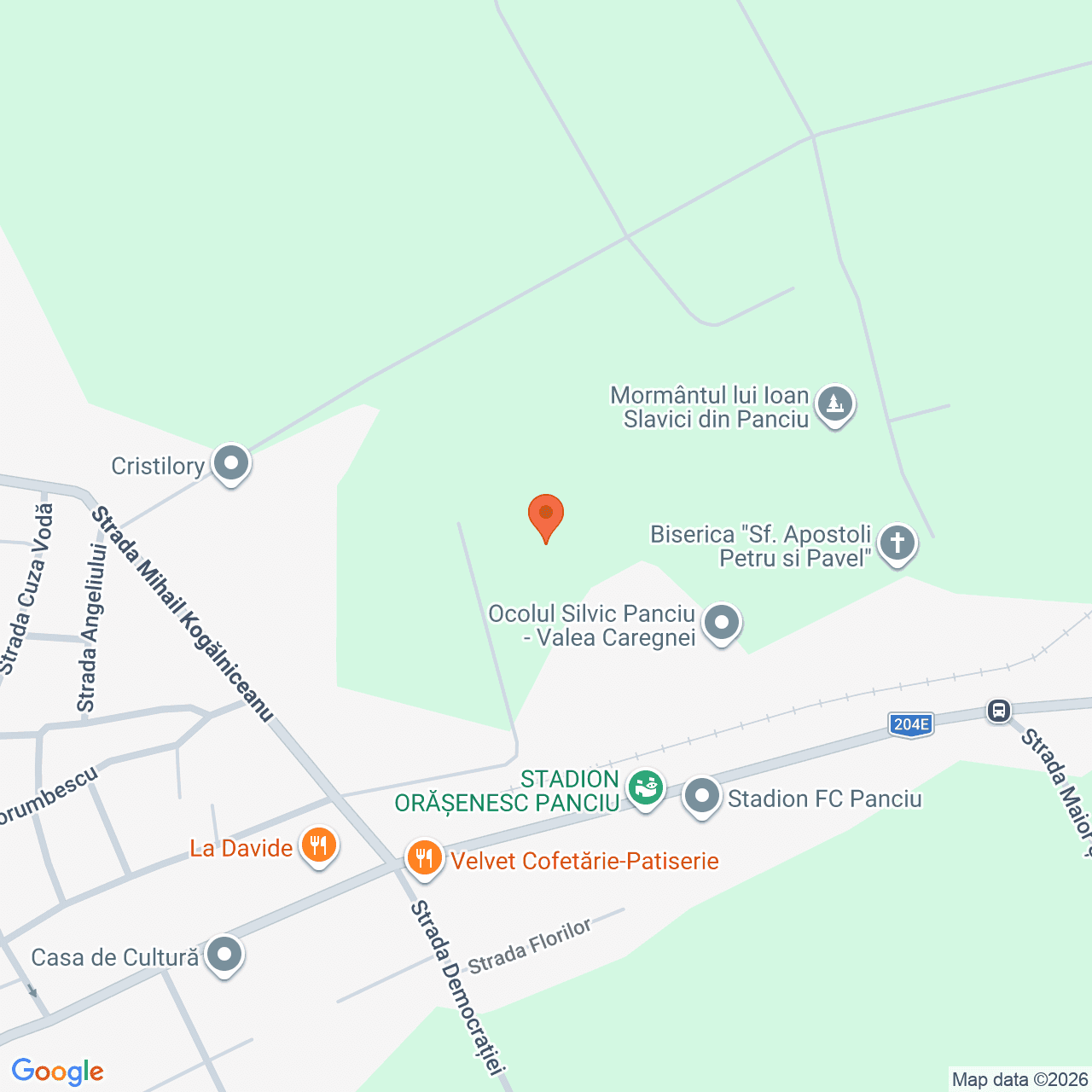 Poza harta streetview, zoom 16, adresa Panciu, strada Titu Maiorescu nr. 4, , judetul
