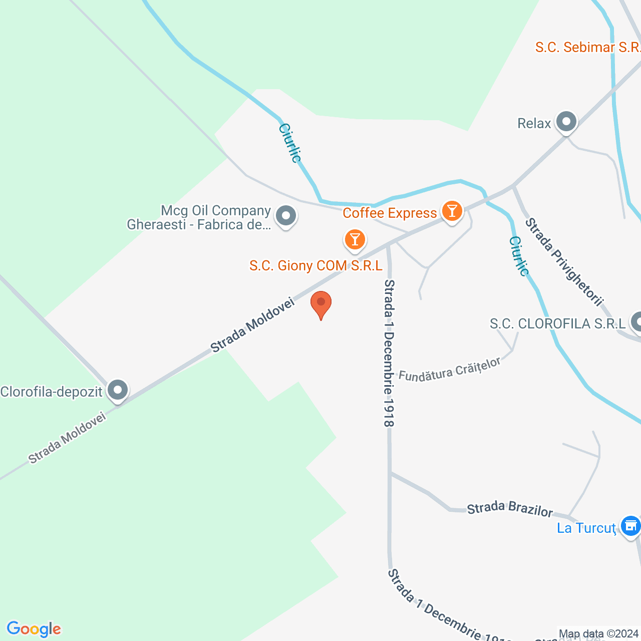 Poza harta streetview, zoom 16, adresa rada Moldoveni, nr. 47, comuna Gheraesti, , judetul