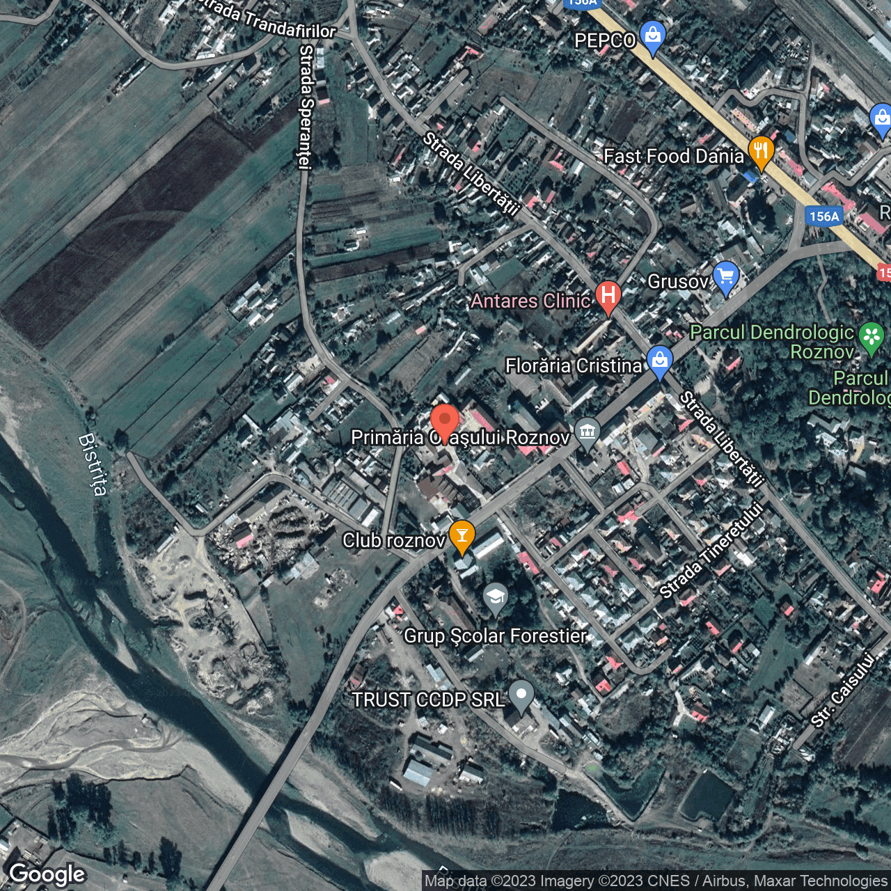 Poza harta hybrid, zoom 16, adresa Roznov, str. Tineretului, nr. 652, , judetul