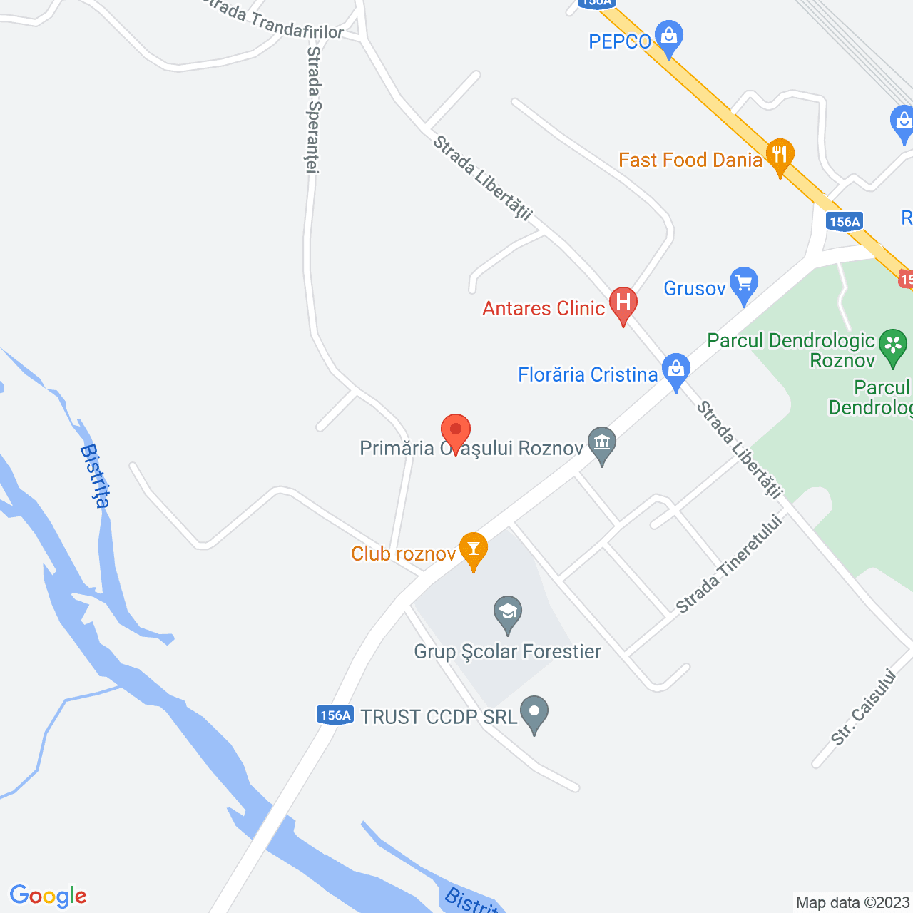 Poza harta streetview, zoom 16, adresa Roznov, str. Tineretului, nr. 652, , judetul