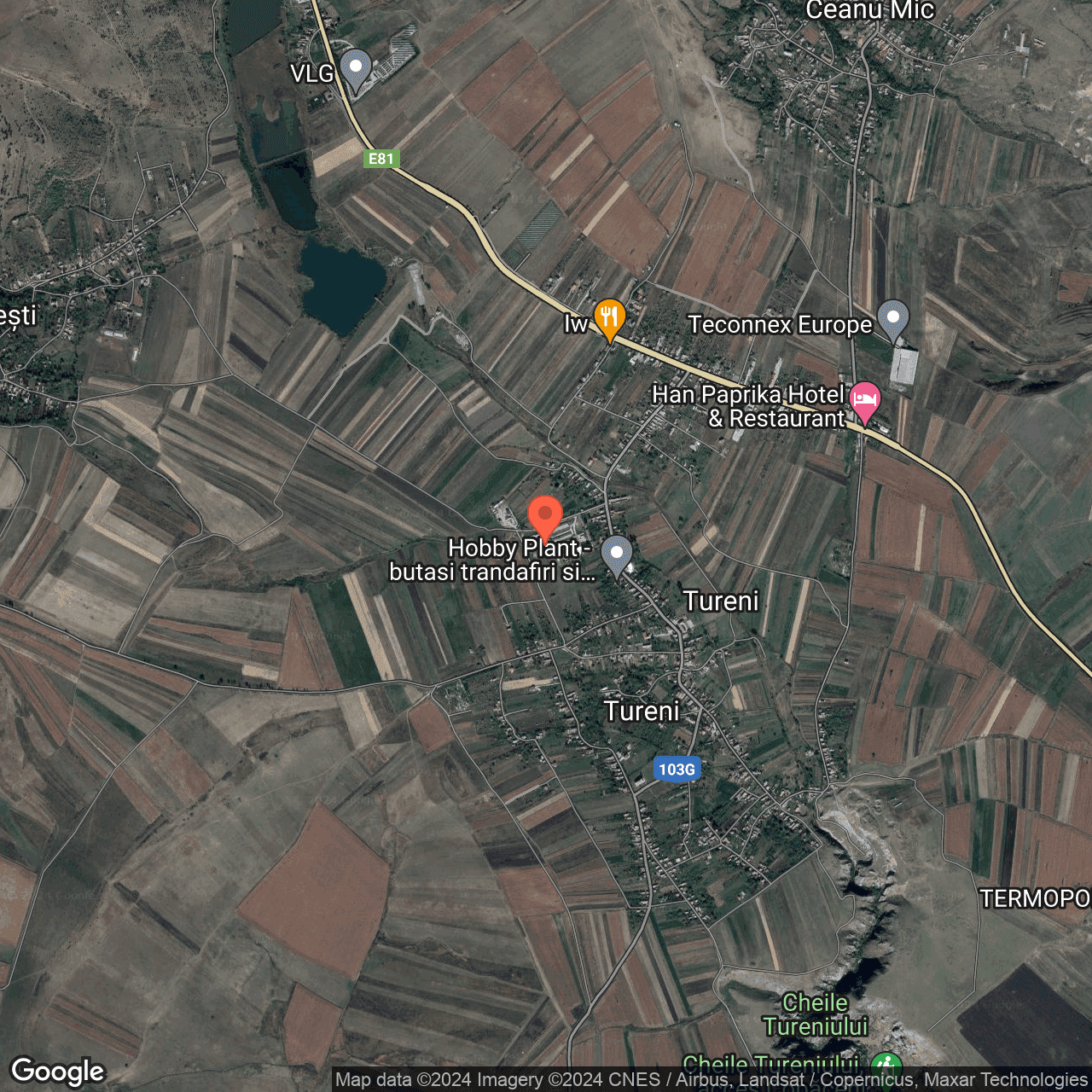 Poza harta hybrid, zoom 14, adresa Tureni Cluj , , judetul