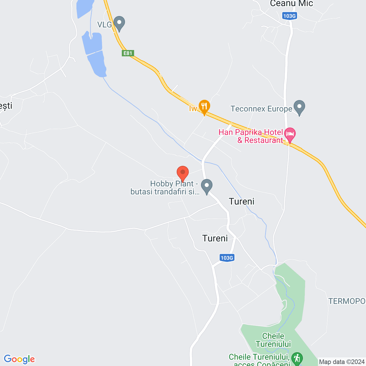 Poza harta streetview, zoom 14, adresa Tureni Cluj , , judetul