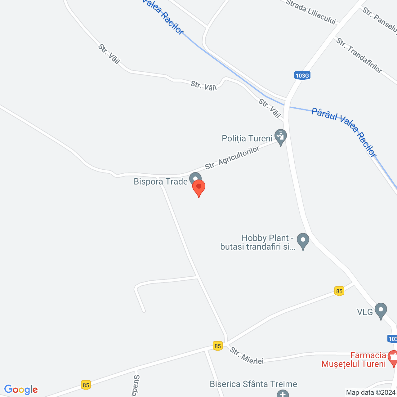 Poza harta streetview, zoom 16, adresa Tureni Cluj , , judetul