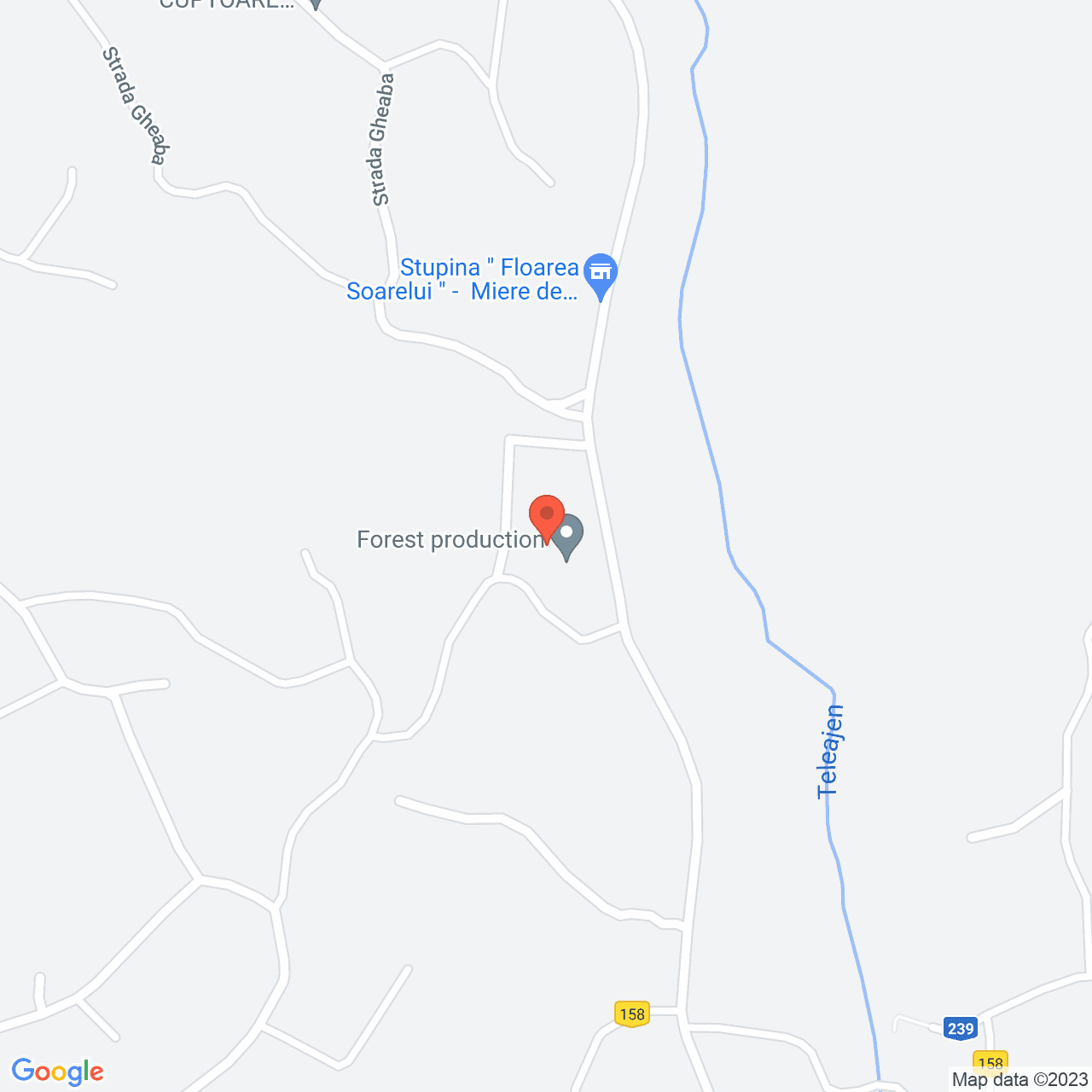 Poza harta streetview, zoom 16, adresa Măneciu, , judetul