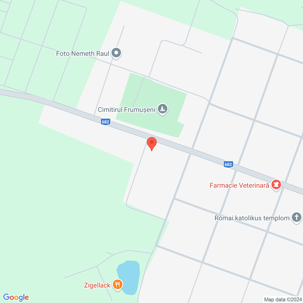 Poza harta streetview, zoom 16, adresa Frumuseni Arad, , judetul