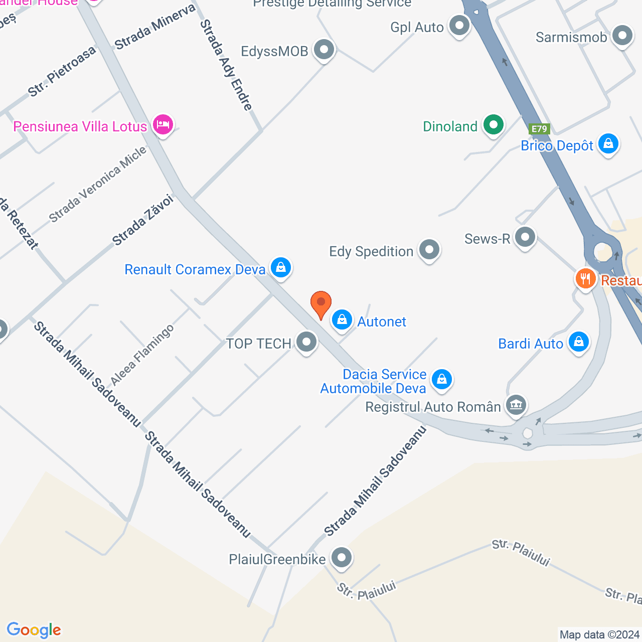 Poza harta streetview, zoom 16, adresa Bulevardul 22 Decembrie Deva, , judetul