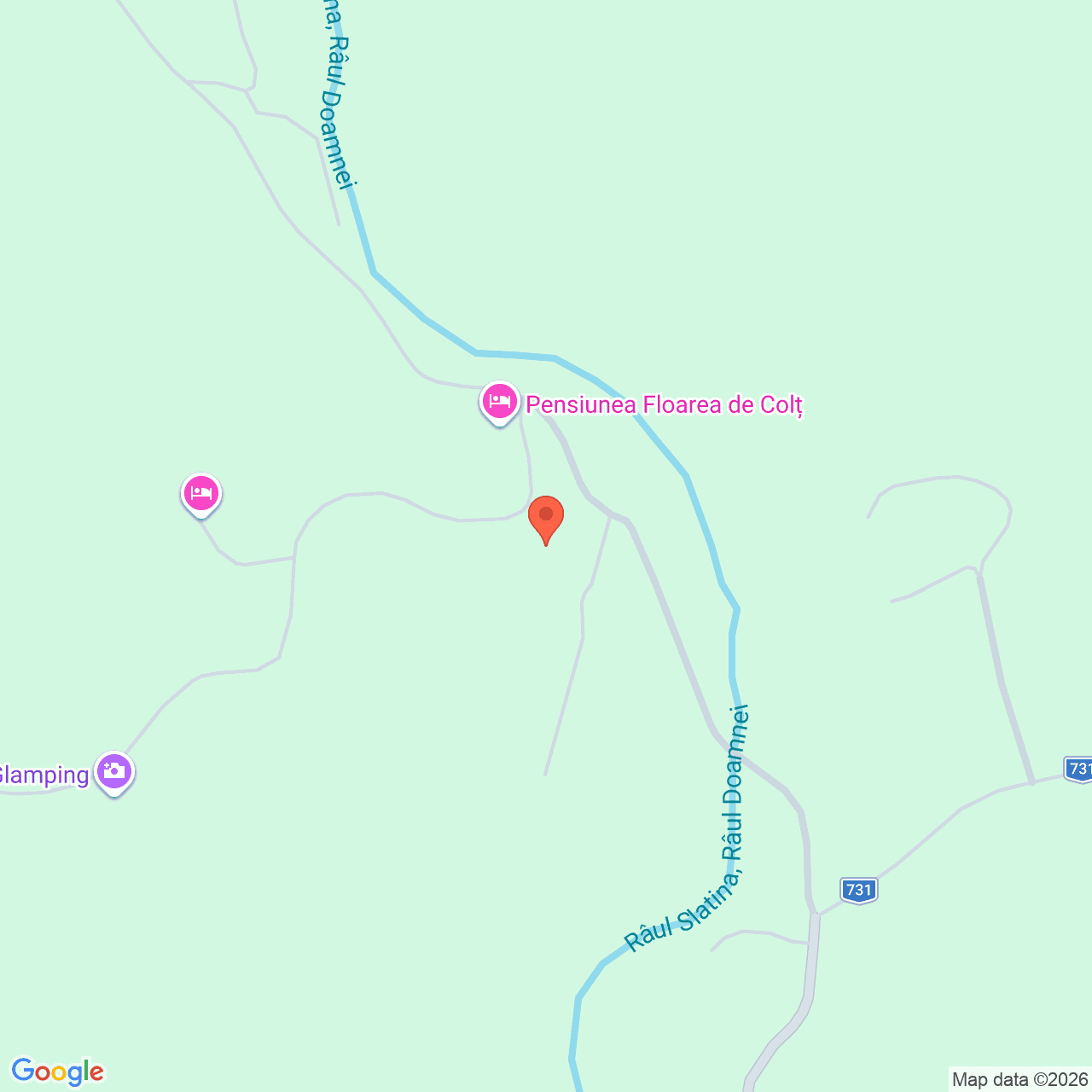 Poza harta streetview, zoom 16, adresa Nucsoara Arges, , judetul